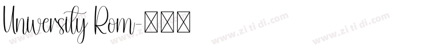 University Rom字体转换